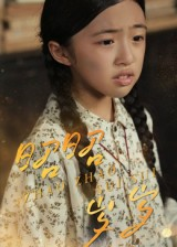 昭昭岁岁（30集）360网盘观看