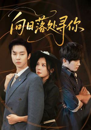 向日落处寻你（70集）短剧更新抢先看