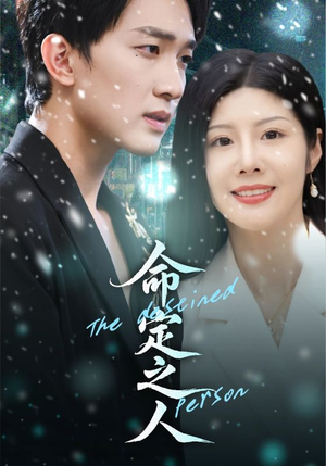 命定之人（56集）热播短剧排行榜