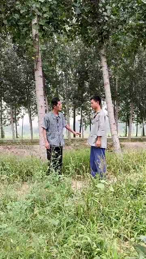 崖边的迎春花第一部(78集) 崖边的迎春花第一部(78集)看过的人都说好