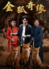 金狐奇缘(42集) 金狐奇缘(42集)追短剧太上头了