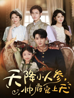 天降小人参，帅府宠上天（83集）全网独播免费看