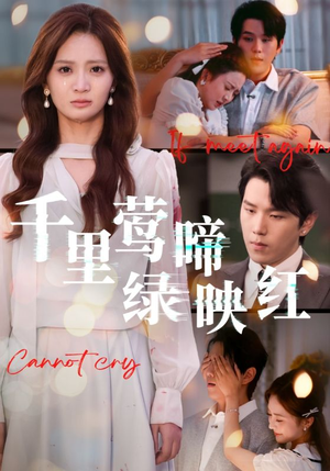 千里莺啼绿映红（63集）红果短剧免费看