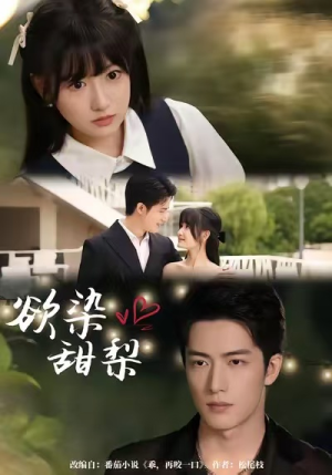 欲染甜梨（63集）独家资源免费看