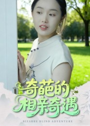 奇葩的相亲奇遇（17集）热门爆款短剧