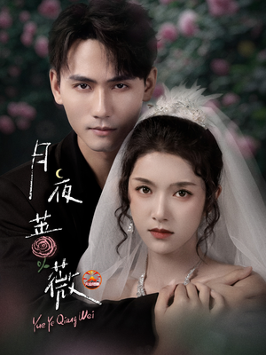 月夜蔷薇（72集）一起追生活短剧