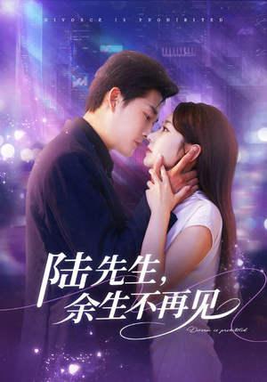 陆先生，余生不再见（88集）追风的女孩短剧