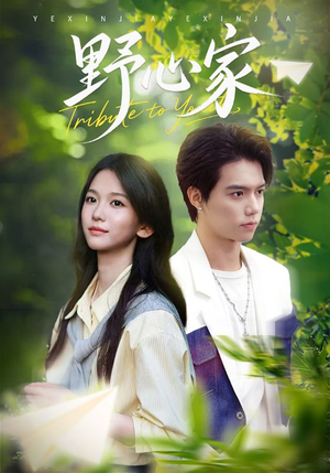 野心家（65集）短剧解说热门