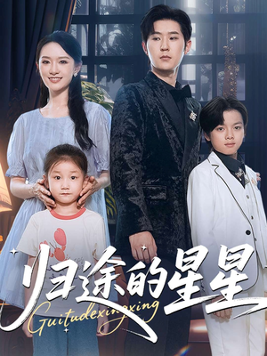 归途的星星（100集）全集免费观看