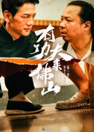 有功夫来佛山（12集）免费看全集