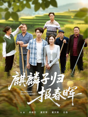 麒麟子归报春晖（36集）哪个短剧网能看