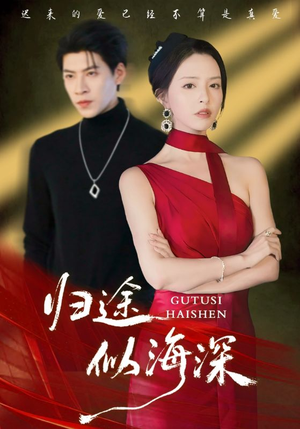 归途似海深(61集) 归途似海深(61集)海量资源免费看