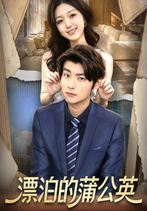 漂泊的蒲公英（60集）爆款短剧抢先看