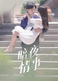 暗夜情事（100集）精彩热门短剧