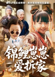 锦鲤崽崽爱拆家（80集）免费短剧合集