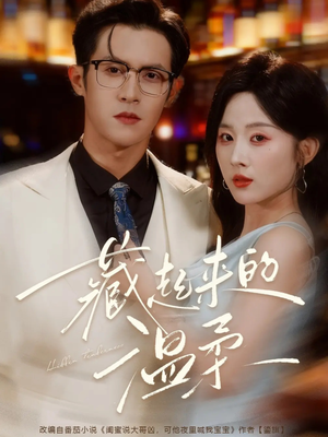 藏起来的温柔（75集）精彩短剧看全集