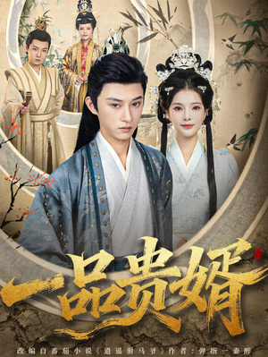 一品贵婿（80集）推荐好短剧