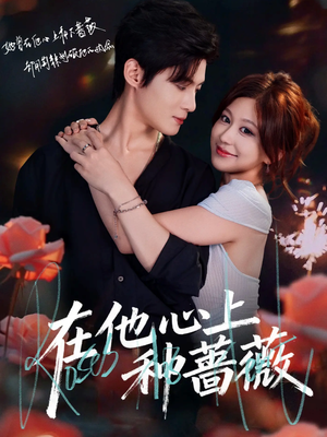 在他心上种蔷薇（81集）热播短剧追不停