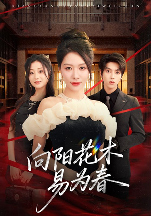 新：向阳花木易为春（72集）常回家看看短剧