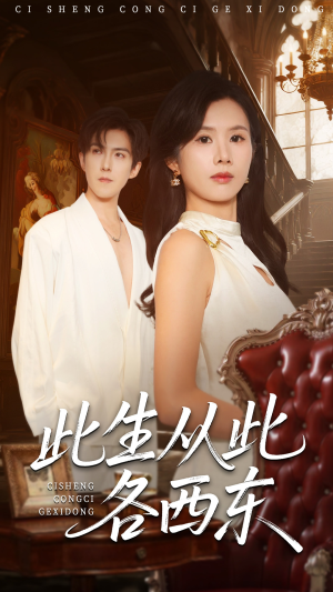 此生从此各西东（60集）短剧介绍