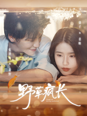 野草疯长(71集) 野草疯长(71集)精彩短剧免费看