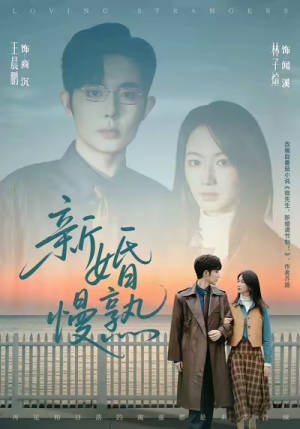 新婚慢熟（105集）火爆短剧来袭