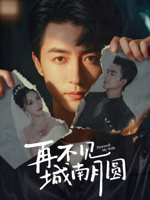 再不见城南月圆(60集) 再不见城南月圆(60集)在线看
