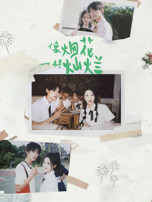 像烟花一样灿烂（60集）在线看完整版