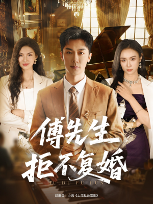 傅先生拒不复婚（60集）免费看