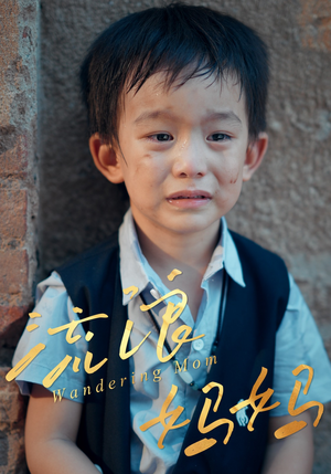 流浪妈妈（30集）热门短剧排行榜