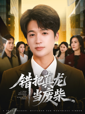 错把真龙当废柴（71集）完整版免费观看