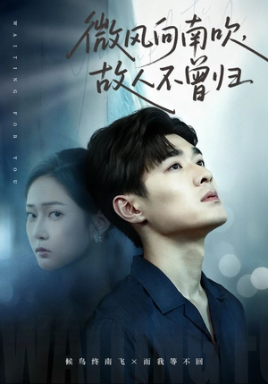 微风向南吹，故人不曾归（72集）最后一集