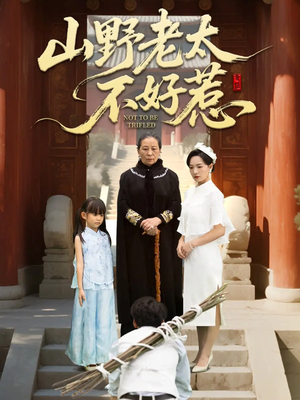 奶奶一脚震全城（64集）短剧