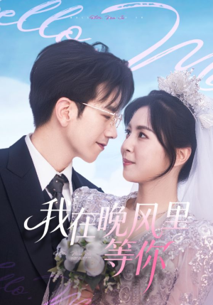 我在晚风里等你（65集）免费看