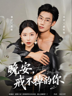 晚安，戒不掉的你（68集）红果短剧看全集