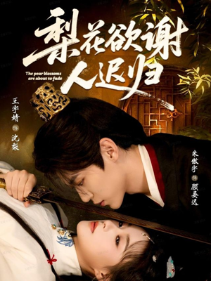 梨花欲谢人迟归（60集）高分佳作免费看