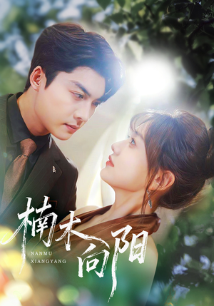 楠木向阳（70集）精彩短剧来了