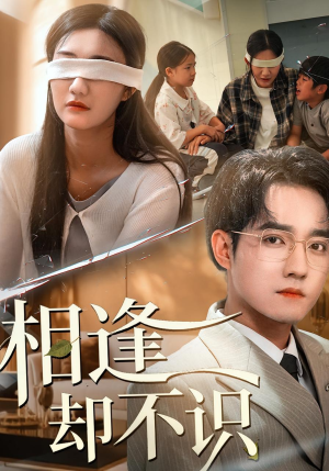 相逢却不识（77集）演员表