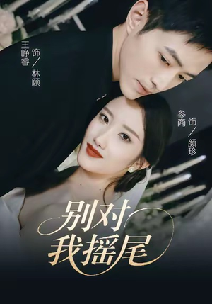 别对我摇尾（59集）免费短剧全集看