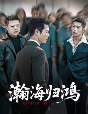 瀚海归鸿（74集）热播短剧来袭