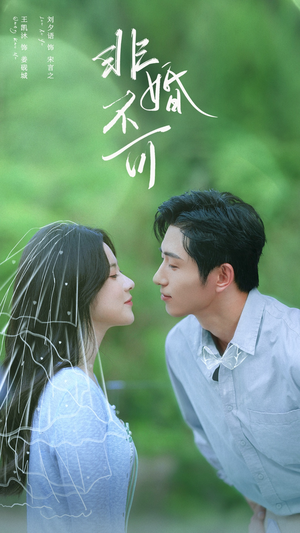 非婚不可（65集）好看短剧推荐