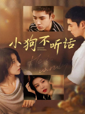 小狗不听话（70集）解说