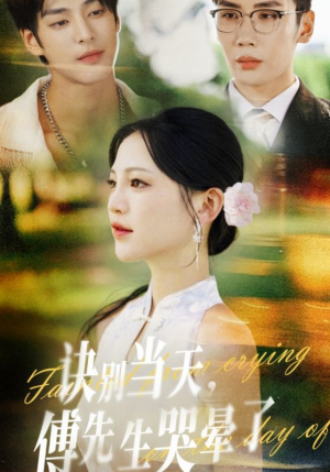 诀别当天傅先生哭晕了（62集）剧情简介