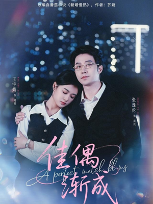 佳偶渐成（71集）最热短剧推荐