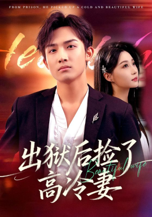 出狱后捡了高冷妻（71集）番茄短剧看全集