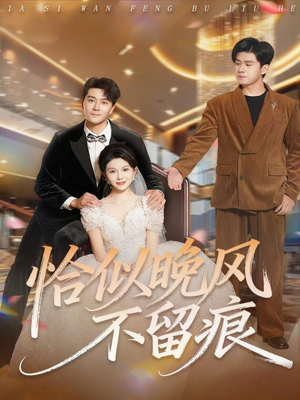 恰似晚风不留痕（61集）热门短剧抢先看