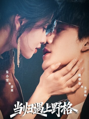 当归遇上野格（66集）热门短剧推荐。