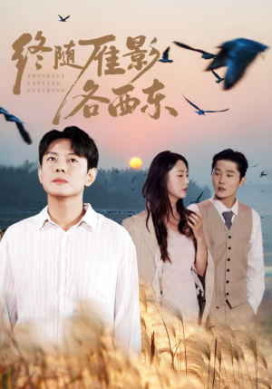 终随雁影各西东（86集）精彩短剧分享。