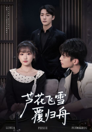 芦花飞雪覆归舟(77集) 芦花飞雪覆归舟(77集)常回家看看短剧