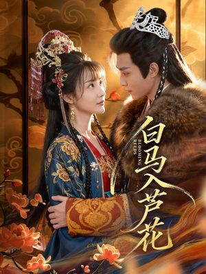 白马入芦花(59集) 白马入芦花(59集)集免费看短剧